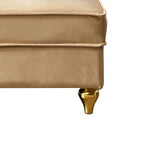 Elegante französische Chaiselongue mit Samtbezug, Stauraum und Kissen