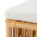 Sedia d'accento in rattan con cuscino (set da 2) - 19.7 L x 22.1 P x 35.4 A - 20Lx22Px35A
