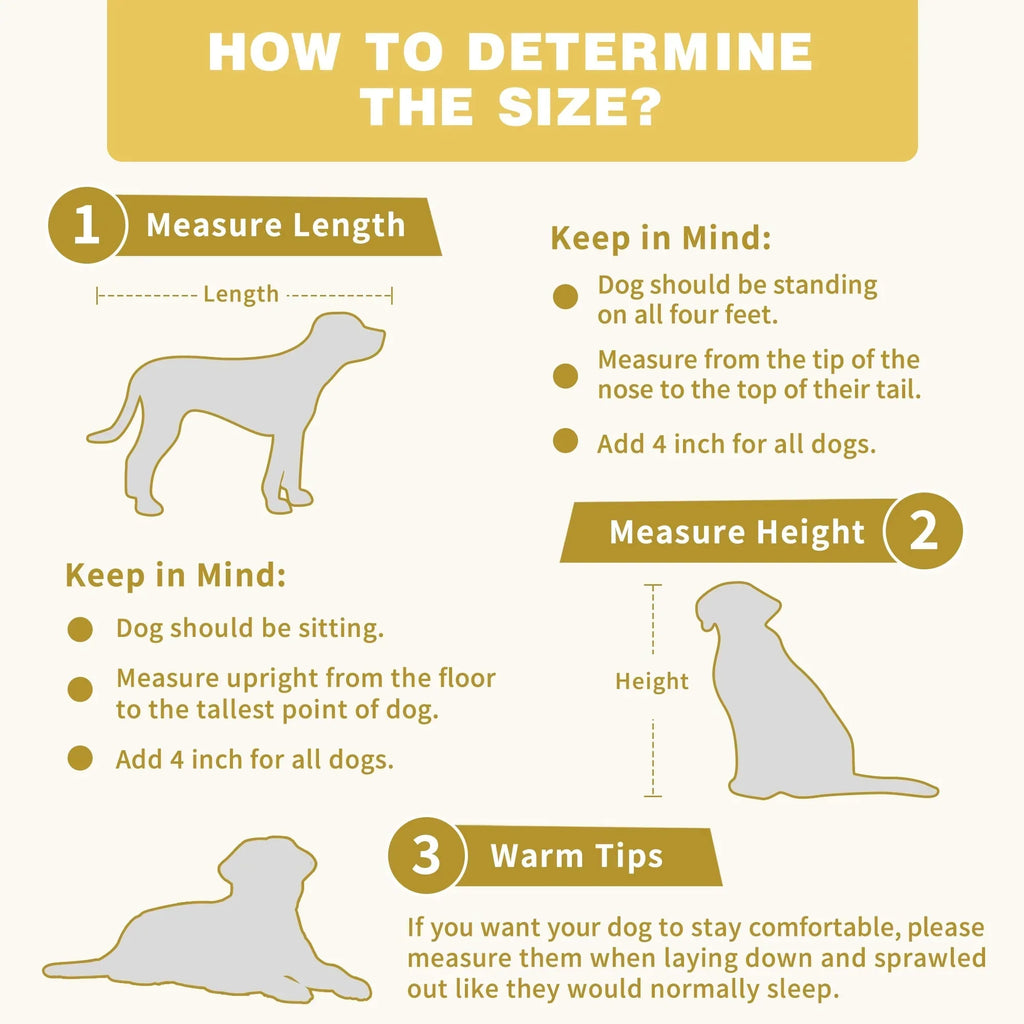 Résidence pour animaux avec renforcement par tubes en fer, cage pour chien élégante et robuste