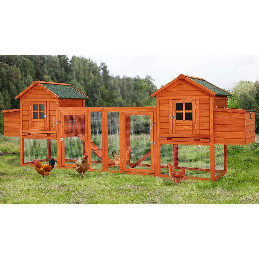 Grand poulailler AECOJOY de 144 po avec parcours, clapier en bois et cage pour volailles