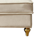 Elegante französische Chaiselongue mit Samtbezug, Stauraum und Kissen